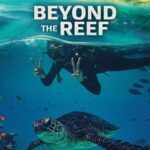 Beyond The Reef Slot