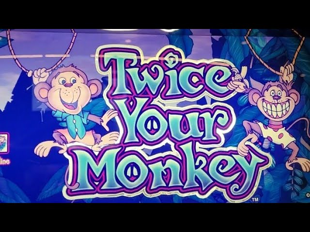 Twice Your Monkey Slot
